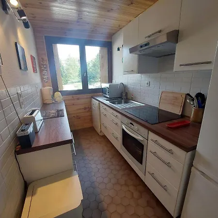 Cosy Style Montagne - 6 Pers, Animaux Admis, Proche Pistes - - Fr-1-516-192