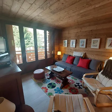 Cosy Style Montagne - 6 Pers, Animaux Admis, Proche Pistes - - Fr-1-516-192 Apartment *